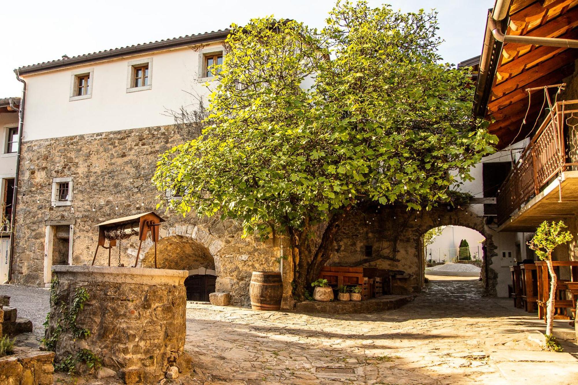 Boutique Rooms & Winery Zorz فيبافا المظهر الخارجي الصورة